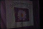 033.jpg