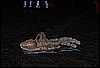 puppe-012.jpg