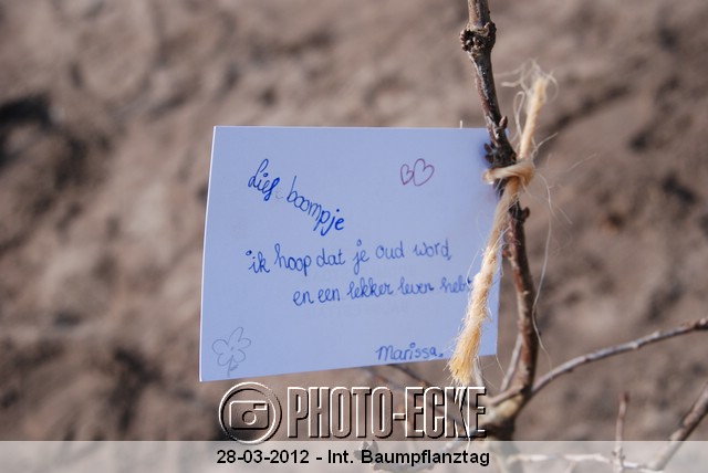 bergen_055.jpg