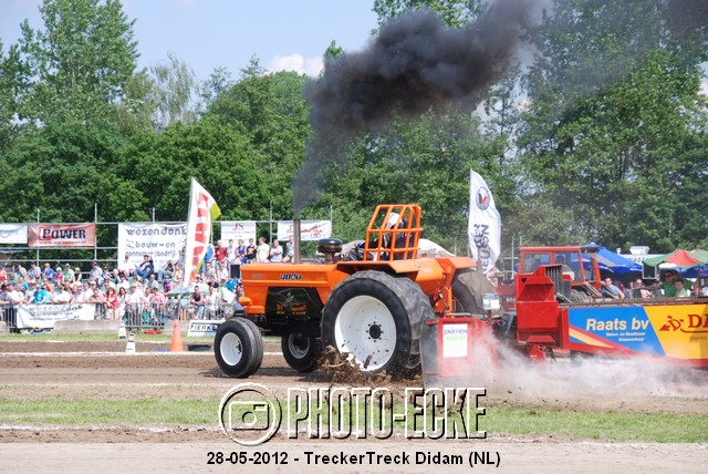 124.jpg