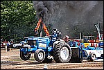 135.jpg