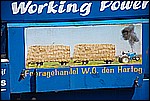 137.jpg