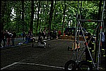135.jpg