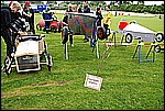 146.jpg