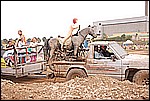 114.jpg