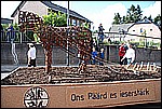 117.jpg