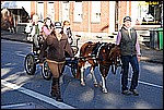 140.jpg