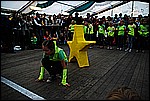 176.jpg