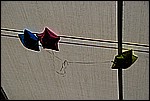 182.jpg