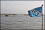 tdh_001.jpg