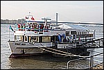 tdh_063.jpg