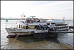 tdh_064.jpg