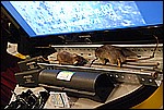 050.jpg